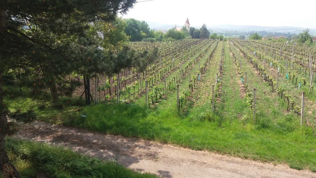 Penzion u Tomčalů Terezín Exteriér fotografie